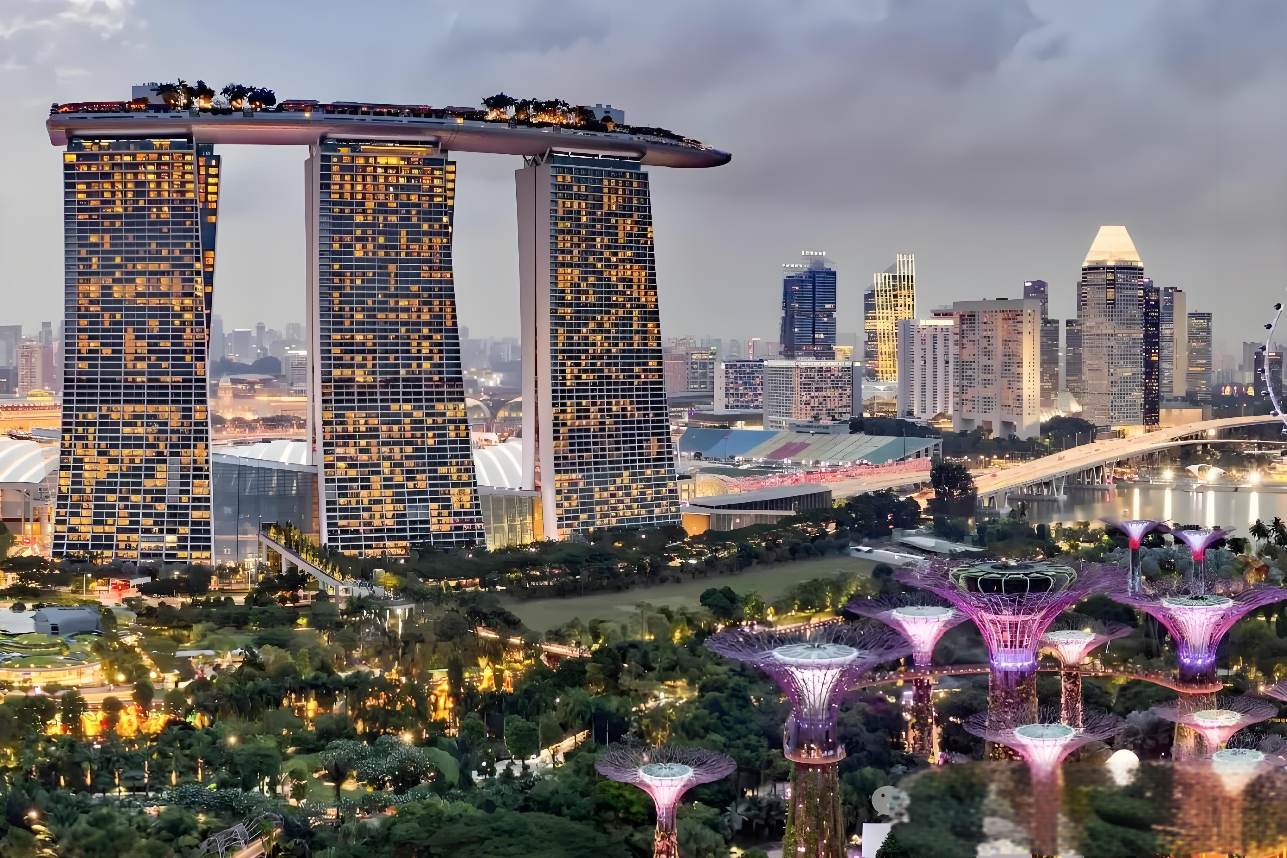 新8 (1).jpg 新8 (1).jpg