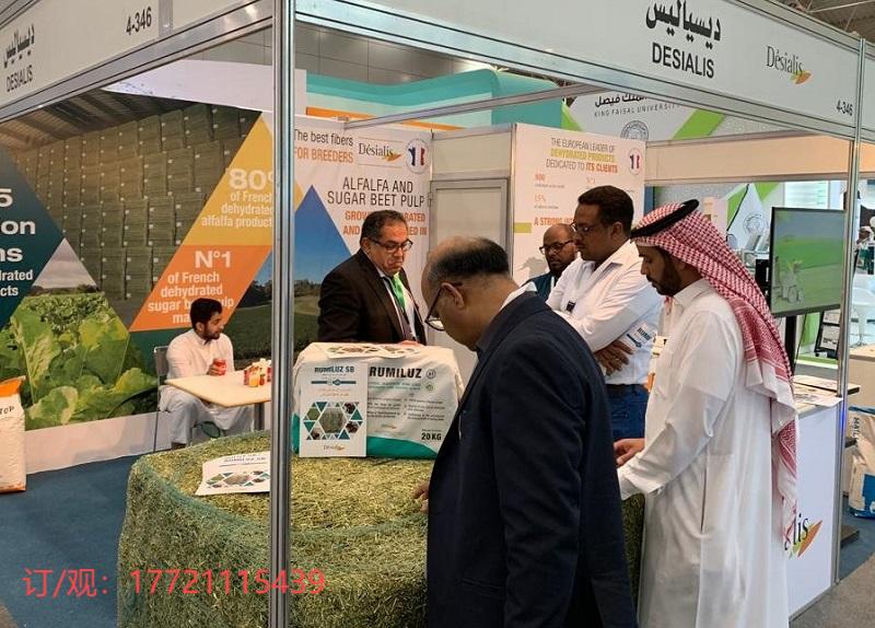 82c45bf9ddee9911.jpg 82c45bf9ddee9911.jpg